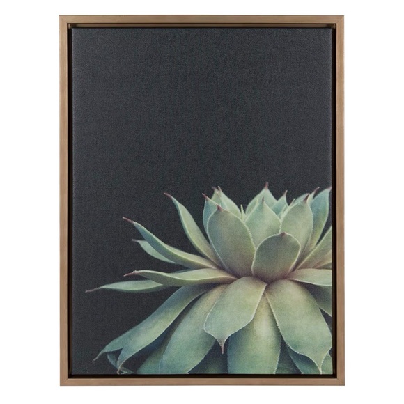 Other - Succulent Framed Canvas Wall Art by F2 Images, 18x24 Gold